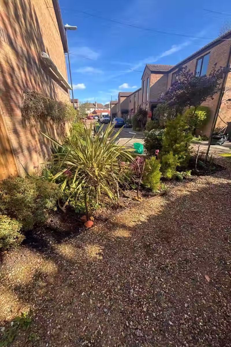 Landscaped garden bed with shrubs and small trees along a pebble pathway outside brick houses.